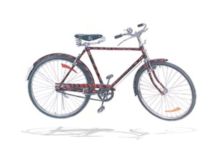 complete bicycle in ludhiana